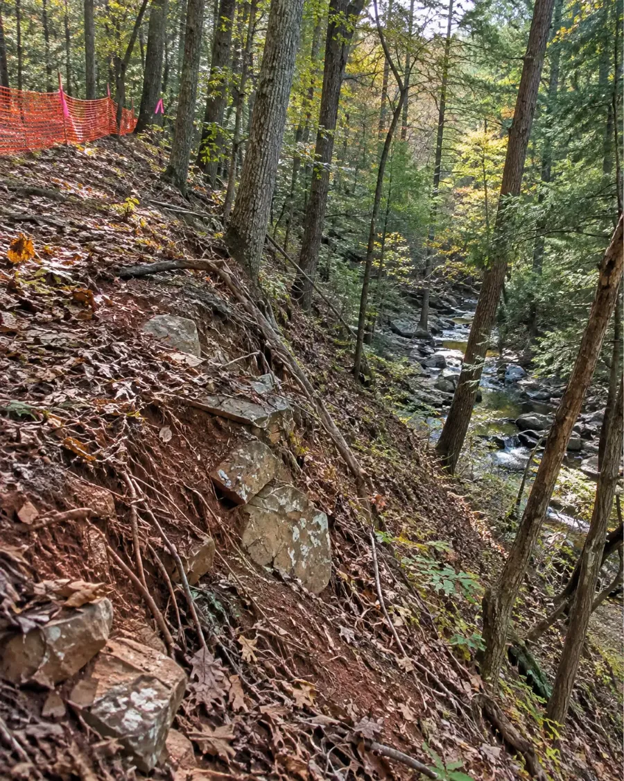 Steep wooded slope above a rocky creek, with orange safety fence and pink flagging at the top