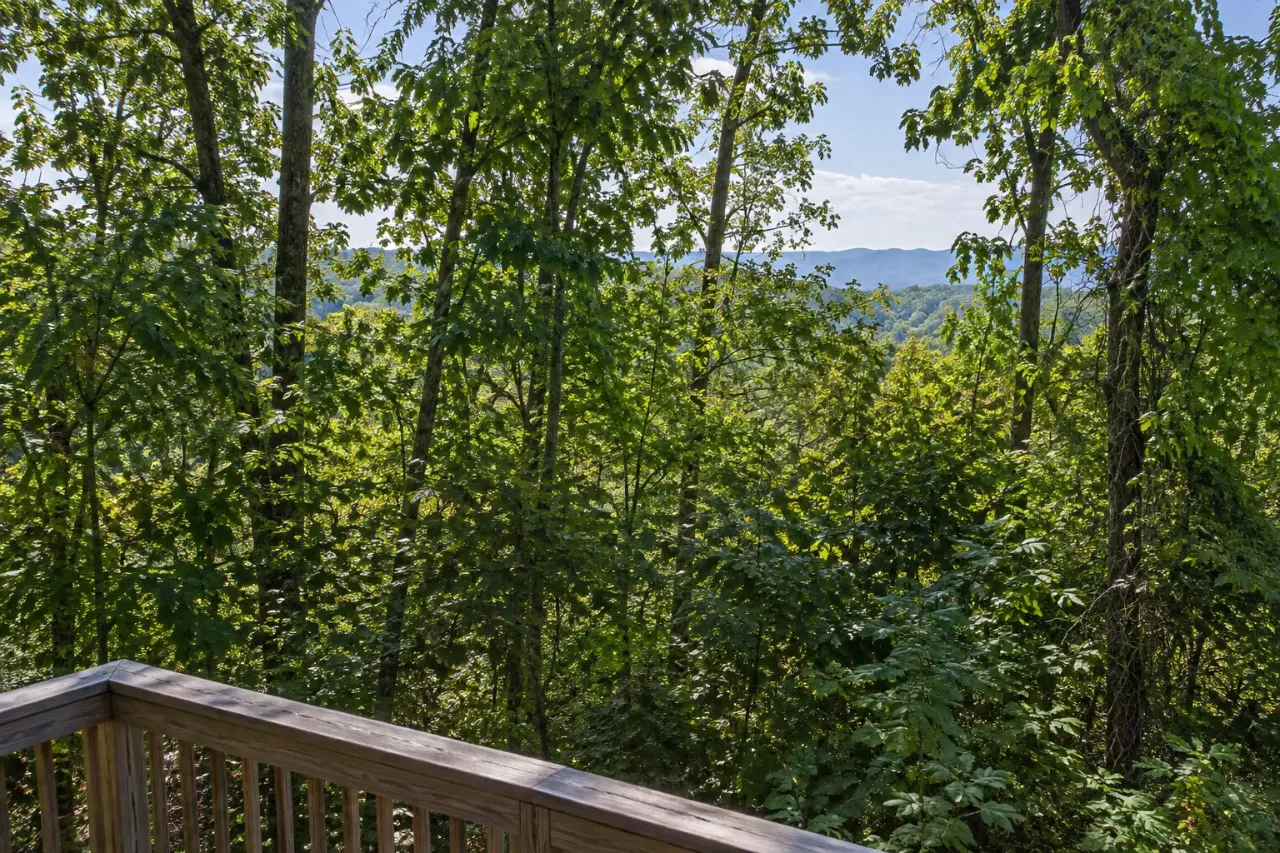 View from a wooden deck railing through dense summer leaves, with only a glimpse of mountains beyond